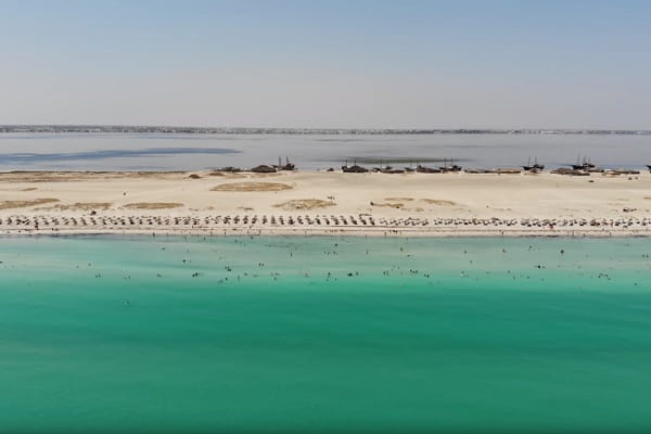 L'ile aux flamants roses