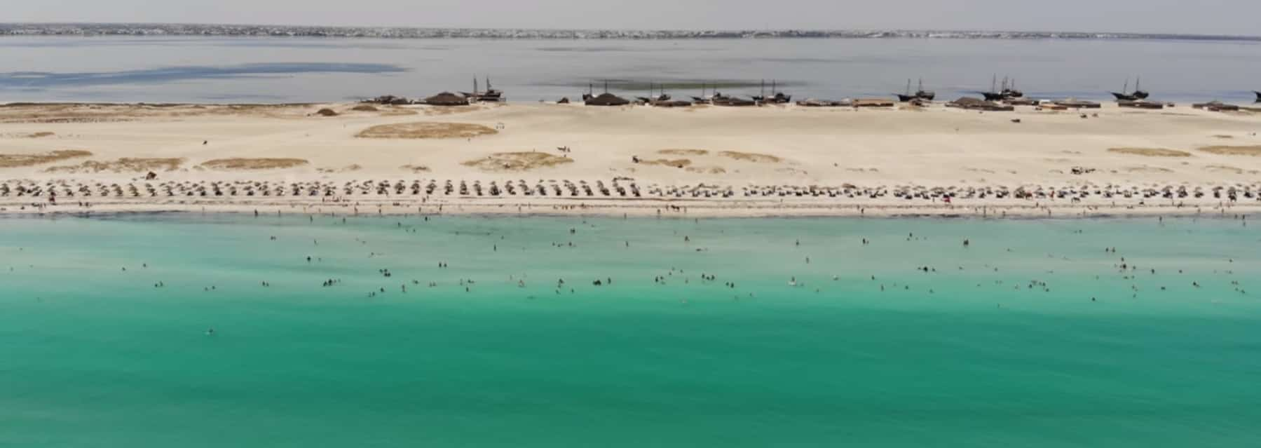 L'ile aux flamants roses